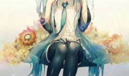 初音动漫,动漫音乐之魂的传奇之旅