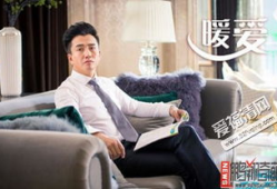 暖爱电视剧结局,结局揭秘，爱恨交织，命运终章揭晓