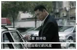 公安反贪电视剧大全,揭秘公安反贪电视剧中的正义之战