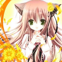 无限动漫网肉片,肉片盛宴，带你领略二次元世界